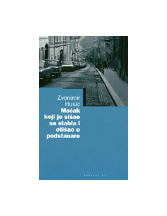 MAČAK KOJI JE SIŠAO SA STABLA I OTIŠAO U PODSTANARE